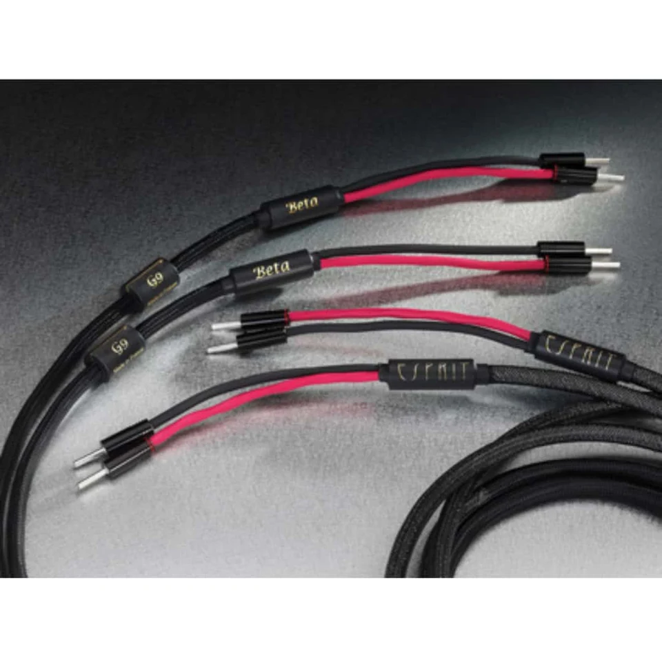 Esprit Beta Speaker Cable Modulation