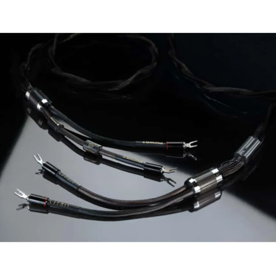 Esprit Lumina Speaker Cable Modulation