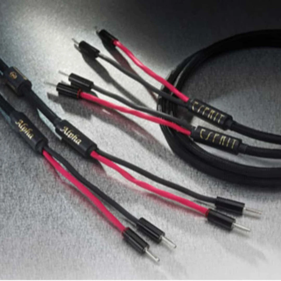 Esprit Alpha Speaker Cable Modulation