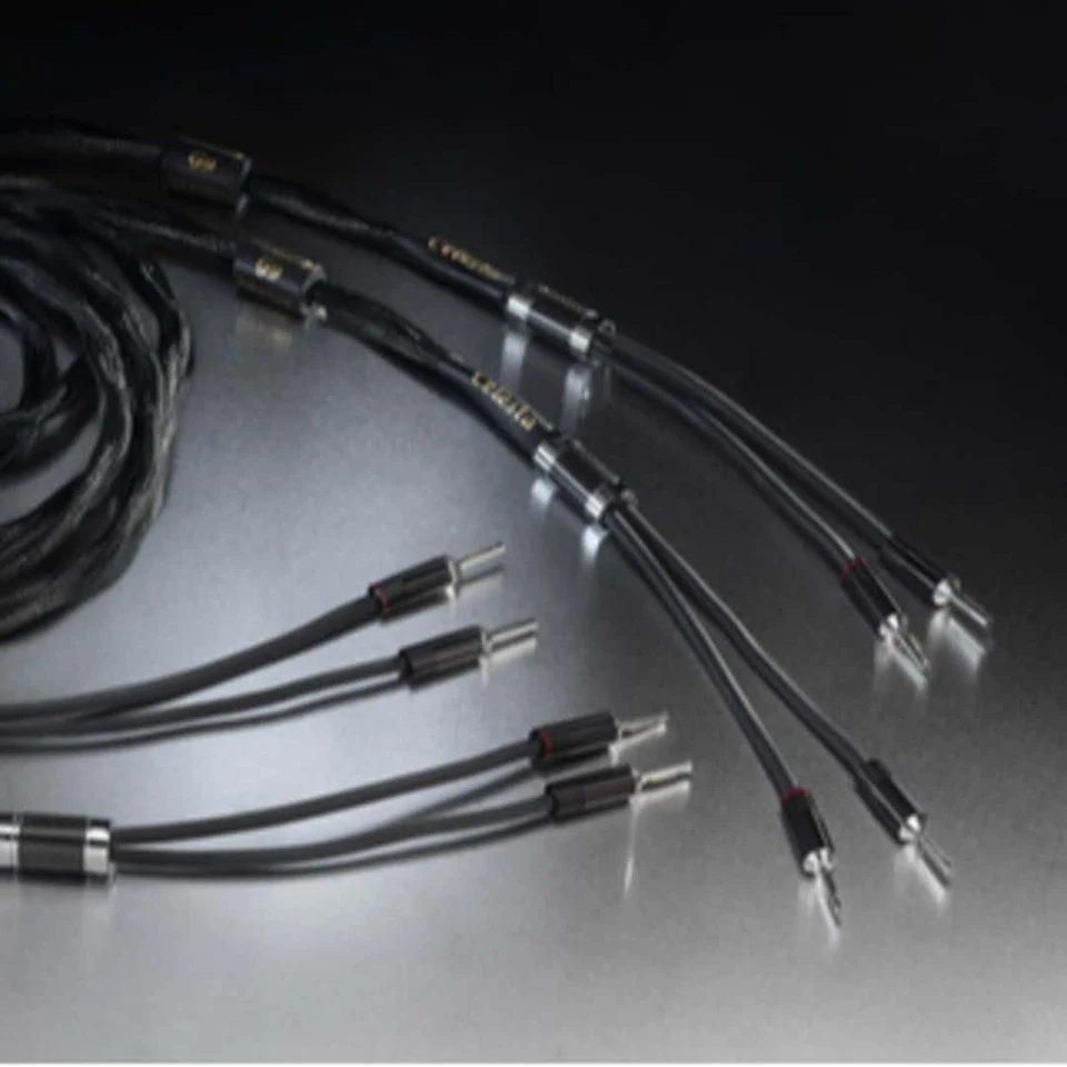 Esprit Eterna Speaker Cable Modulation