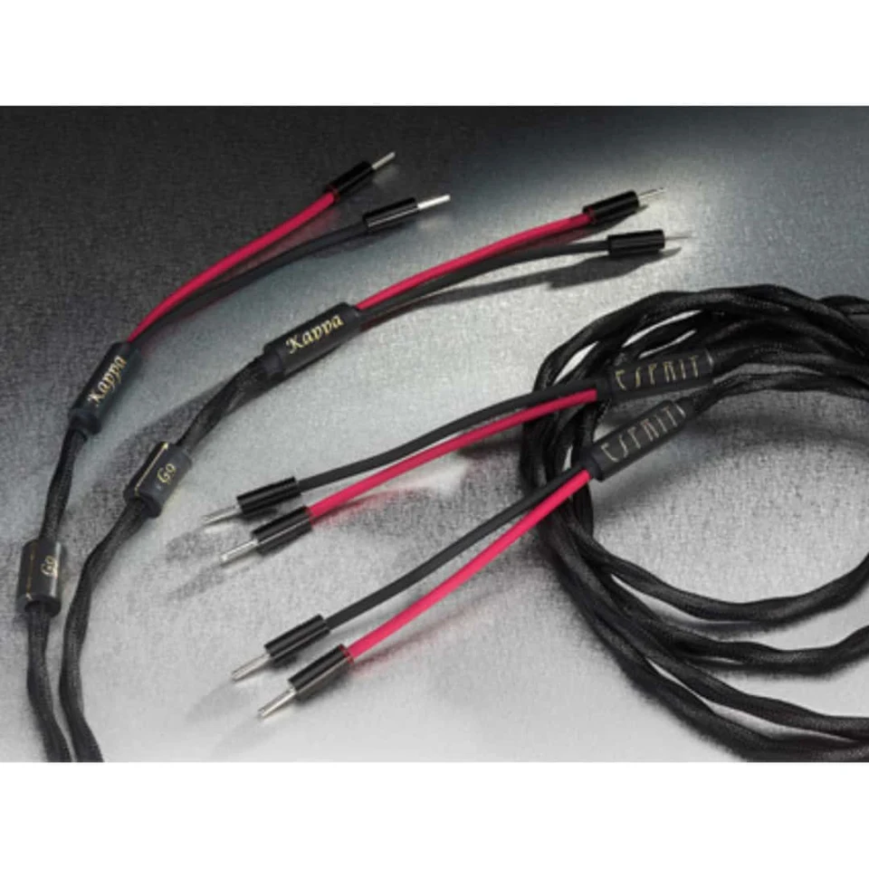 Esprit Kappa Speaker Cable Modulation